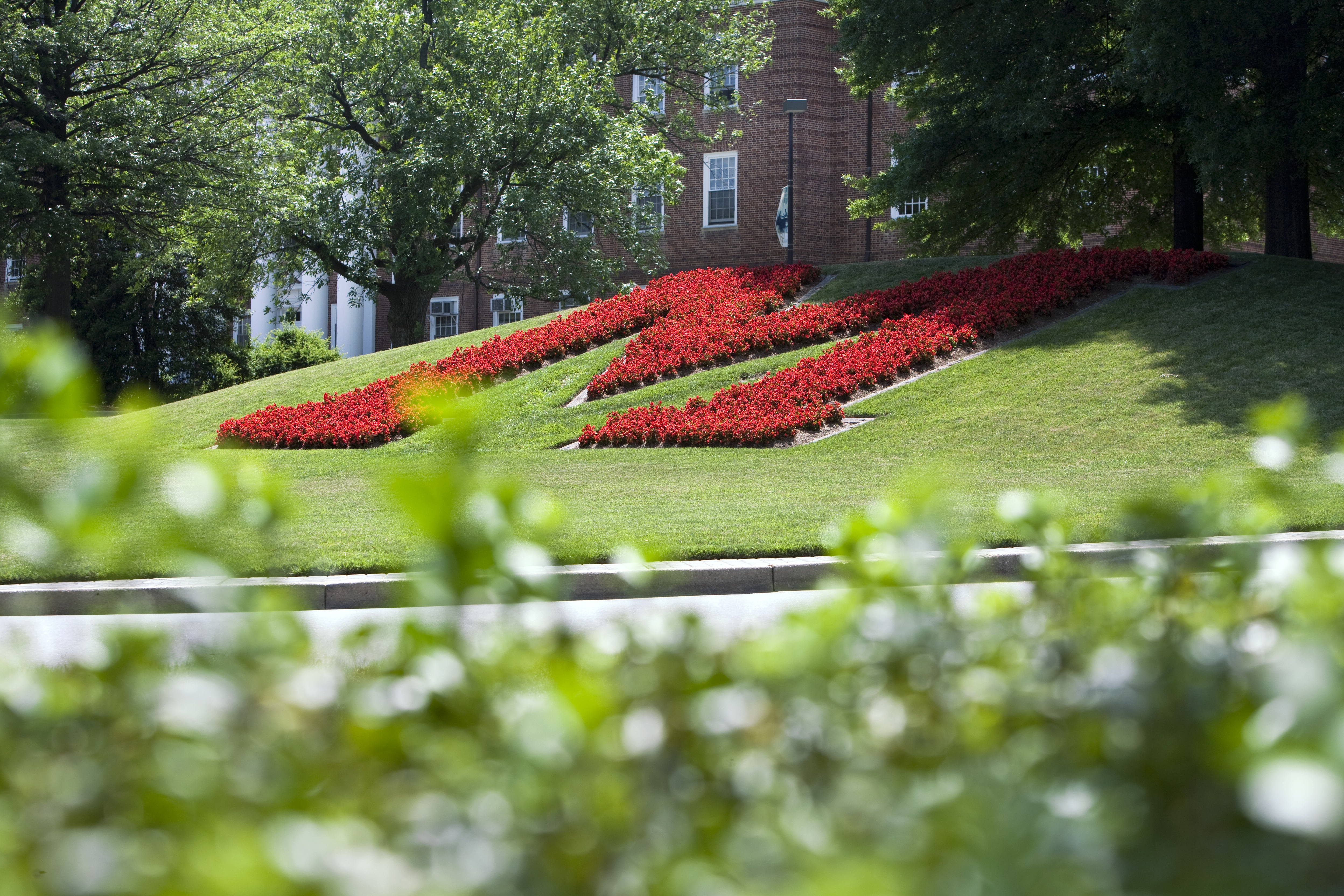 M Circle with red flowers