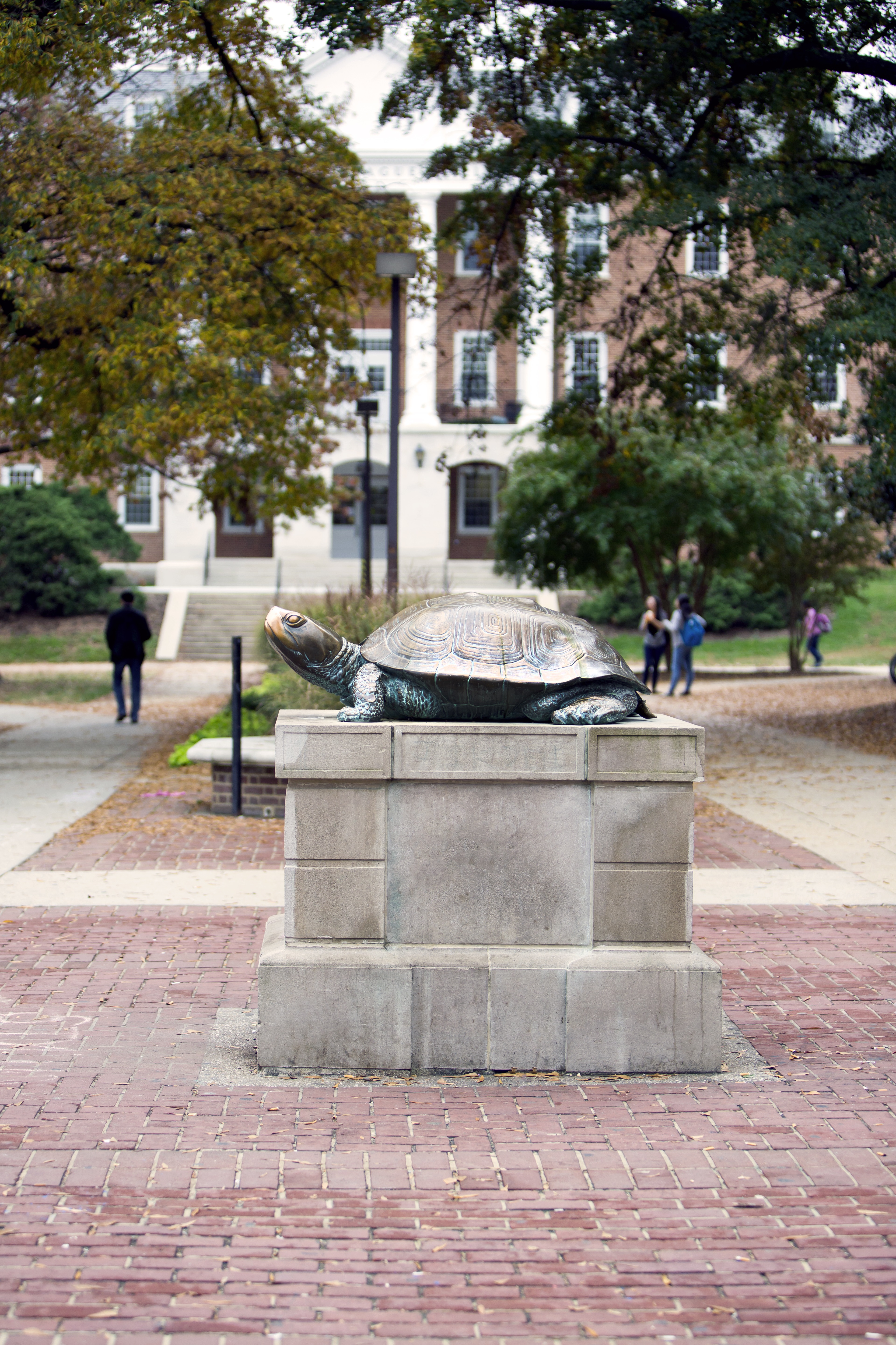 Testudo 10262012 5223