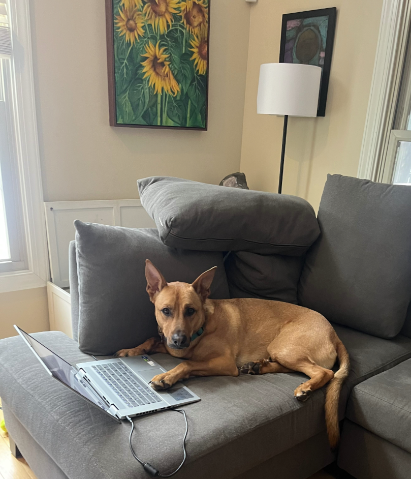 Elana Fertig with dog